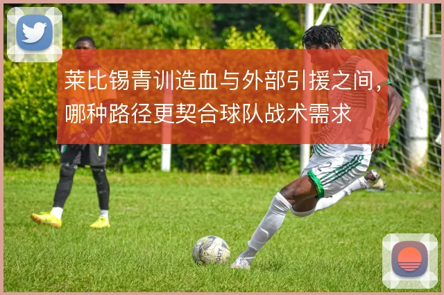 莱比锡青训造血与外部引援之间，哪种路径更契合球队战术需求
